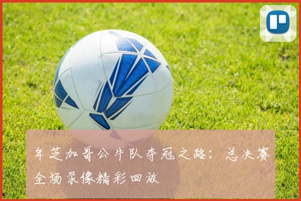 年芝加哥公牛队夺冠之路：总决赛全场录像精彩回放